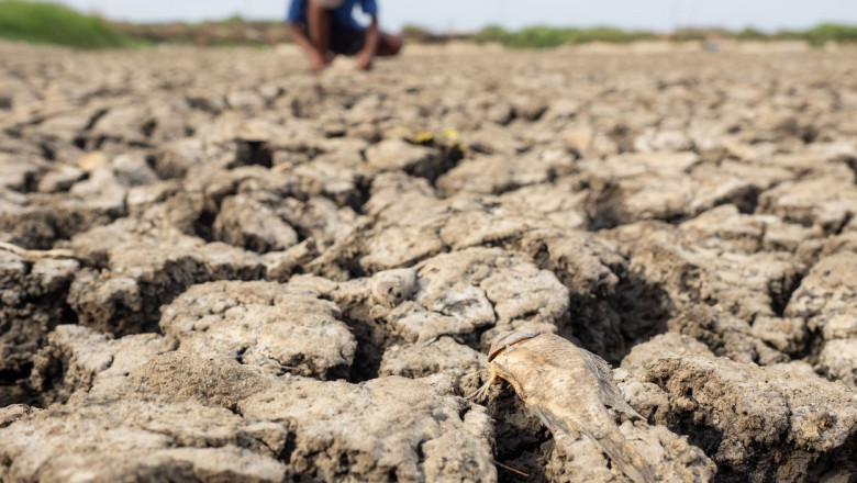 ONU avertizeaza asupra revenirii iminente a fenomenului El Nino. Antonio Guterres: „Va turna gaz pe focul incalzirii globale”