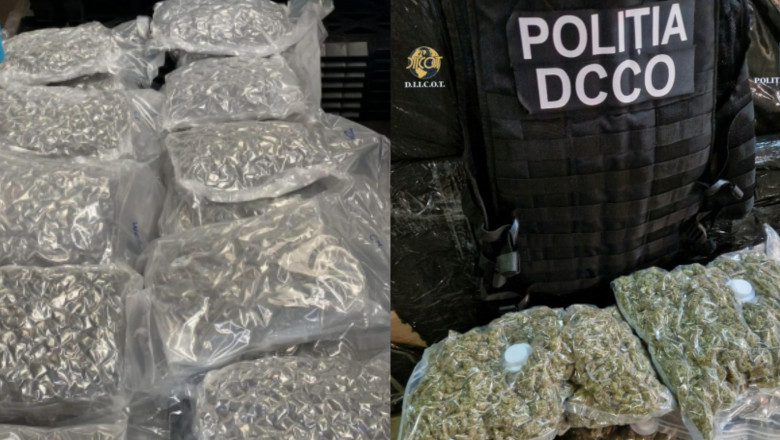 Operatiunea „BLIZZARD”: Trafic de droguri si arme prin firme de coletarie, arestari si sute de kilograme de droguri confiscate in 2024 Imagine