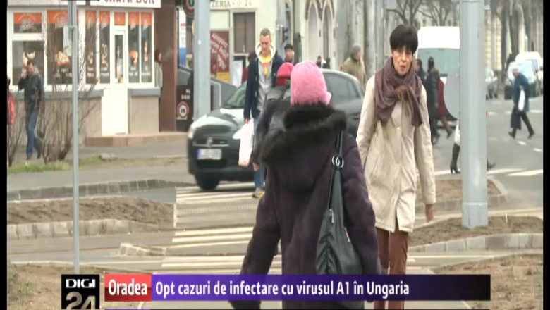 Opt cazuri de infectare cu virusul A1 in Ungaria Imagine