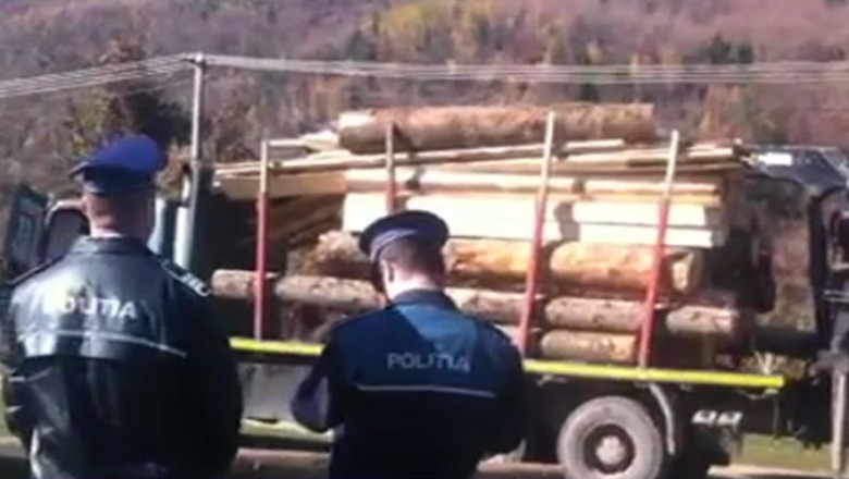 Opt gatere au fost confiscate de la hotii de lemn din Brasov si Prahova Imagine