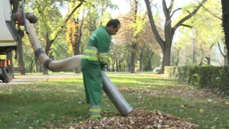 Oradea. Afacere din frunzele uscate de pe strada, trasformate in pamant pentru flori Imagine