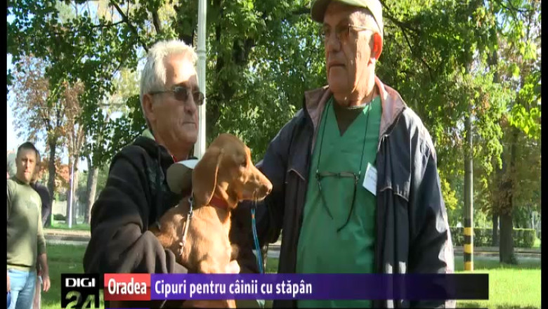 ORADEA. Cainii de la bloc, marcati cu cipuri Imagine