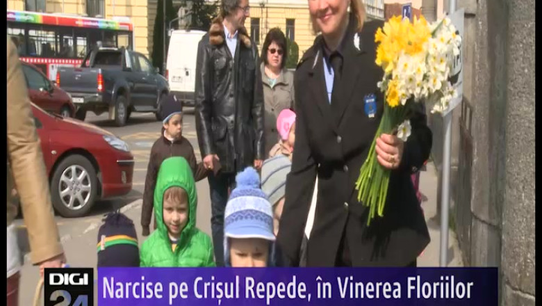 ORADEA. Narcise aruncate in Crisul Repede, in Vinerea Floriilor Imagine