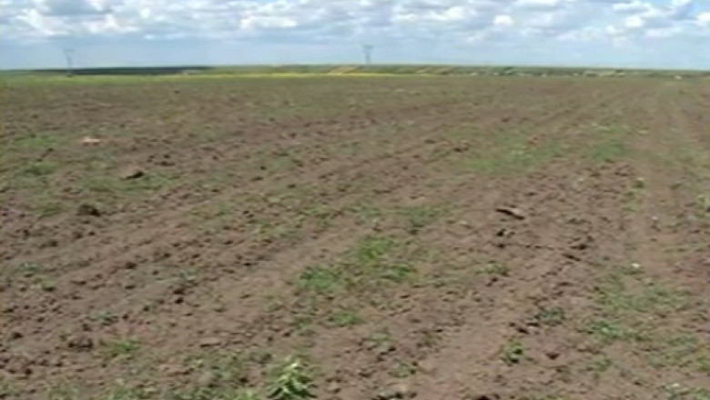 Oradenii s-au trezit cu impozitele marite. Terenurile agricole au fost trecute in intravilan Imagine