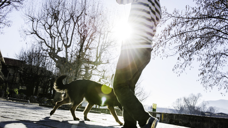 Orasul din Italia care introduce taxa turistica pentru caini: cat vor plati pe zi stapanii Imagine