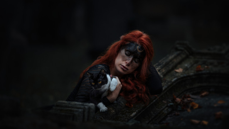 Orasul din Spania care a interzis adoptia pisicilor negre inainte de Halloween. Cum explica autoritatile locale decizia Imagine