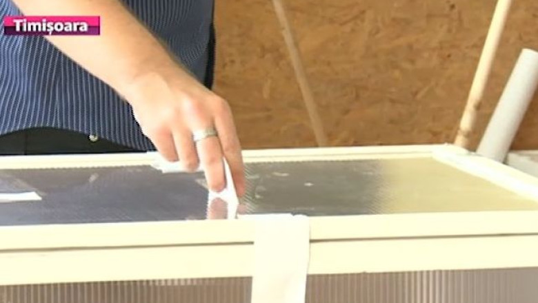 Organizarea alegerilor in Timis, in linie dreapta   Imagine