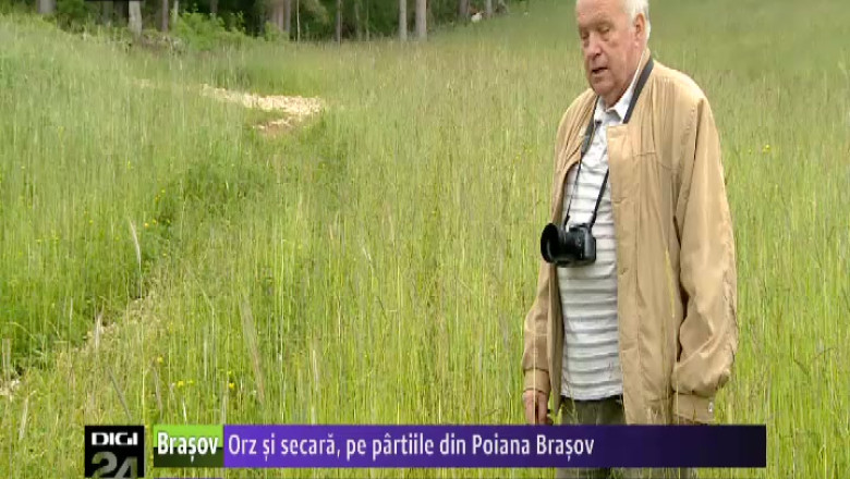 Orz si secara, pe partiile din Poiana Brasov Imagine