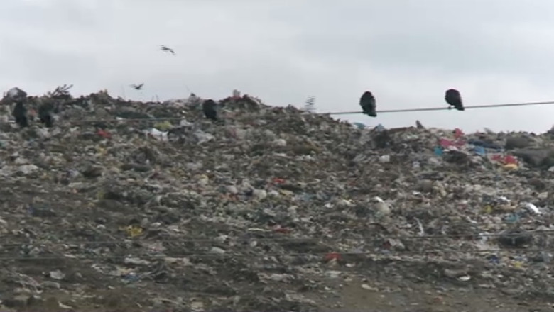 Otrava de la groapa de gunoi din Chiajna Imagine