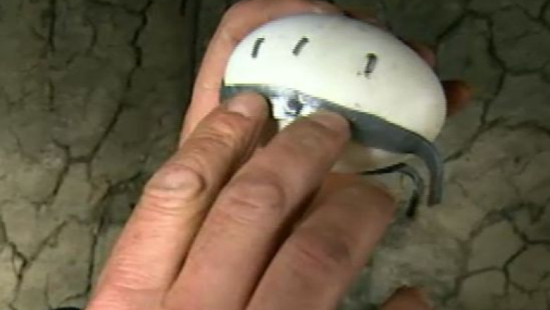 Oua potcovite intr-un sat din judetul Cluj. Pretul este 50 de euro bucata Imagine