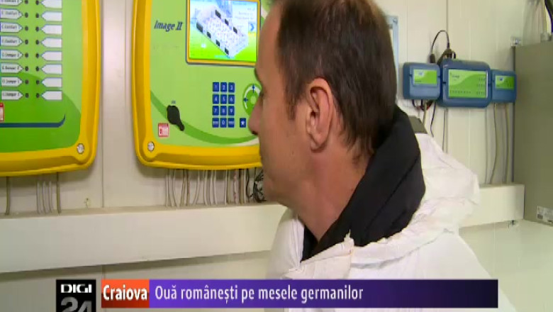 Oua romanesti pe mesele germanilor. Un investitor din Mehedinti a dezvoltat o ferma dupa modelul nemtilor Imagine