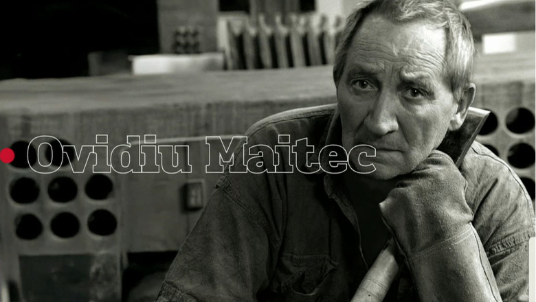 Ovidiu Maitec, sculptor Imagine