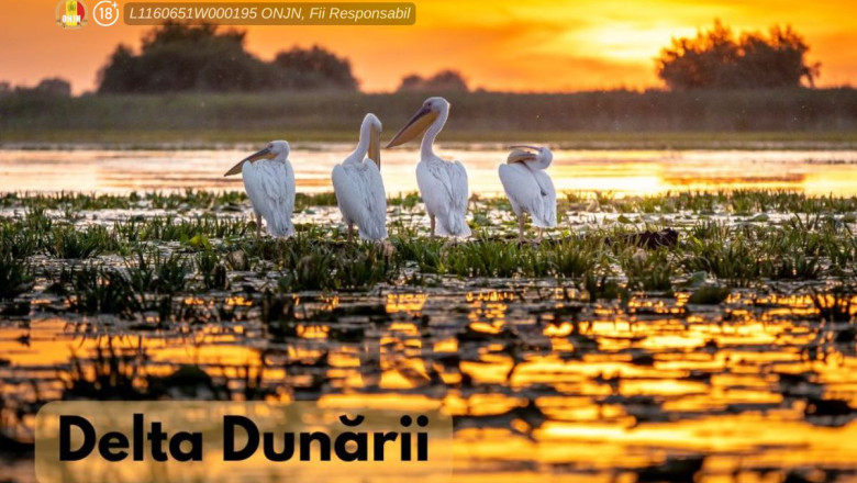 (P) Tot ce trebuie sa stim despre Delta Dunarii, declarata rezervatie a biosferei Imagine