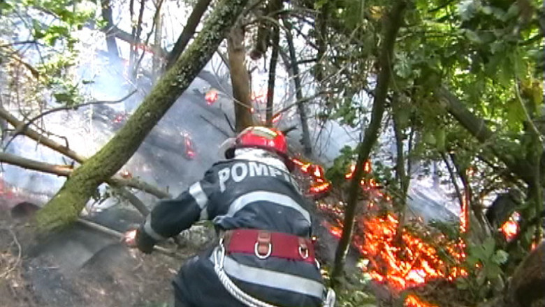 Padure afectata de un incendiu, din cauza caniculei Imagine