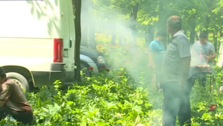 Padure de bujori, arie protejata si de interes national, distrusa de petrecareti. „Iarta-ma. Luai si eu unul. Si ce?” Imagine