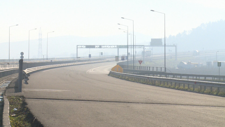 Padure de pin, defrisata pentru A3 Imagine