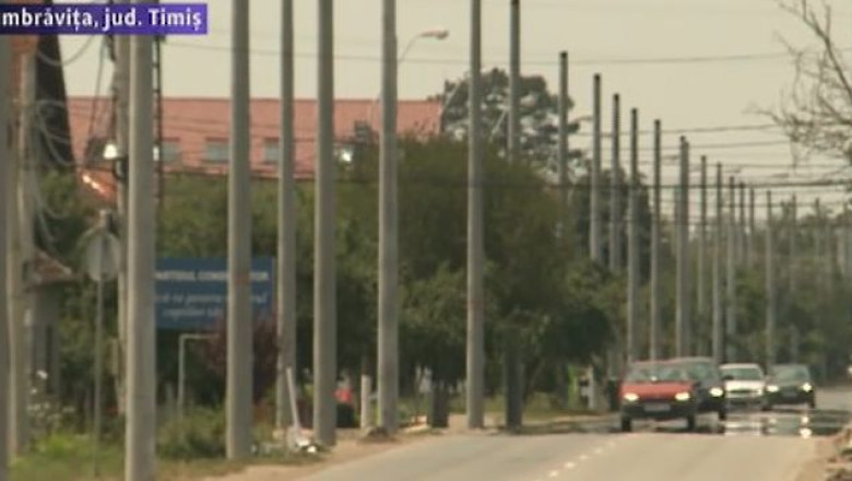 Padure de stalpi in comuna timiseana Dumbravita Imagine