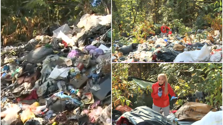 Padure sufocata de gunoaie, in Gorj. Autoritatile ridica din umeri: "E un fenomen!". Decizia Garzii de Mediu dupa sesizarea Digi24 Imagine