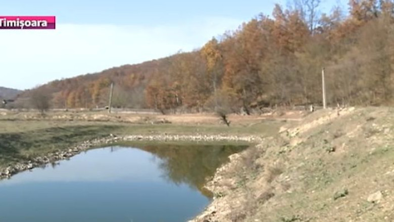 Padure taiata ilegal la Nadas. Au fost valorificati ilegal doua mii de arbori, prejudiciul - peste 400.000 de lei Imagine