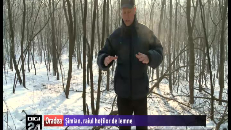 Paduri furate cu... caruta, in nordul Bihorului. Localnicii acuza autoritatile ca nu fac nimic sa opreasca jaful Imagine