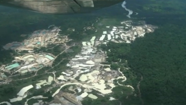 Padurile amazoniene, in pericol din cauza minelor ilegale de aur Imagine