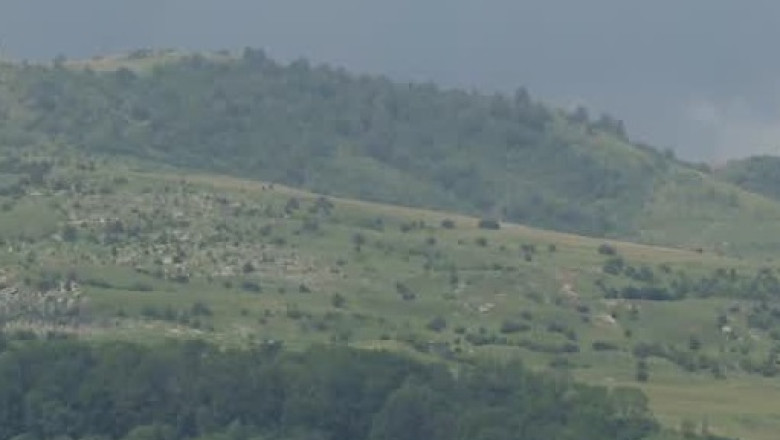 Padurile din Suceava raman la stat Imagine