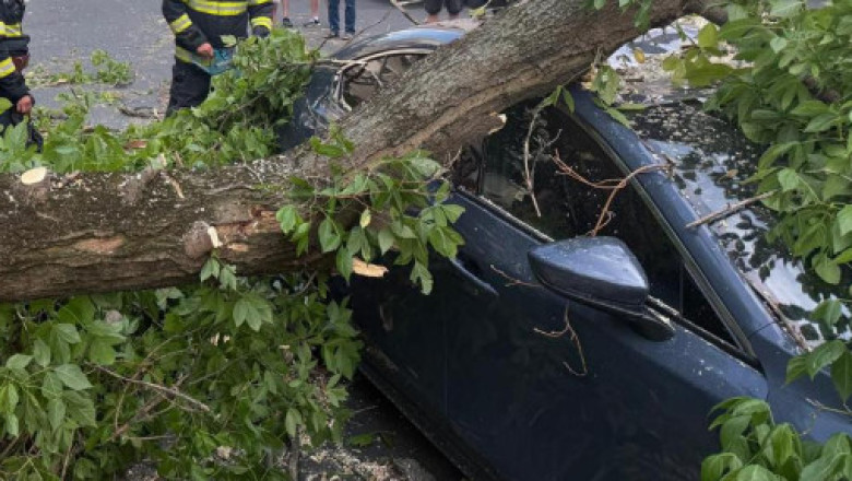 „Pagube semnificative in Sectorul 2”, dupa furtuna. Procedura prin care proprietarii de masini avariate pot primi despagubiri Imagine