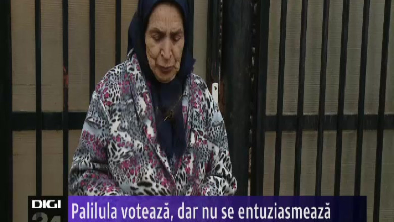 Palilula voteaza, dar nu se entuziasmeaza   Imagine