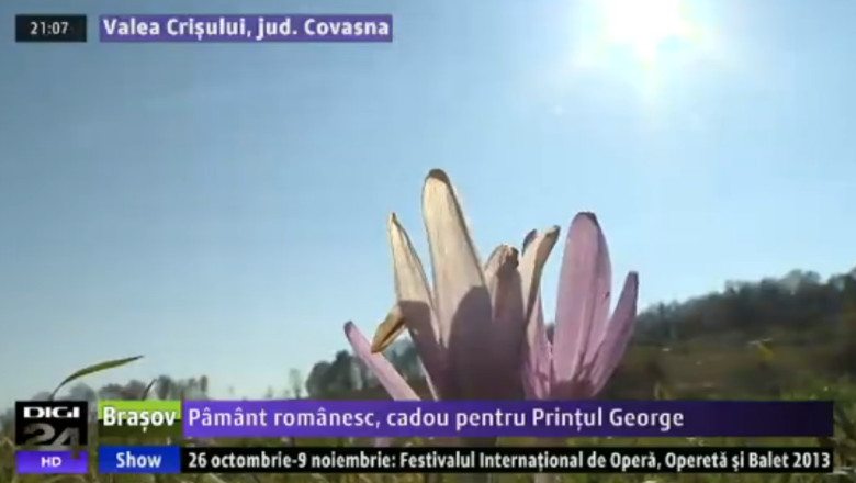 Pamant romanesc, cadou pentru printul George al Marii Britanii Imagine