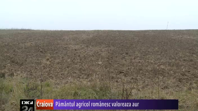 Pamantul agricol romanesc valoreaza aur Imagine