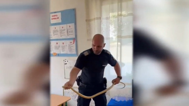 Panica intr-o sectie de vot din Dolj, unde a fost gasit un sarpe. Oamenii au chemat jandarmii Imagine