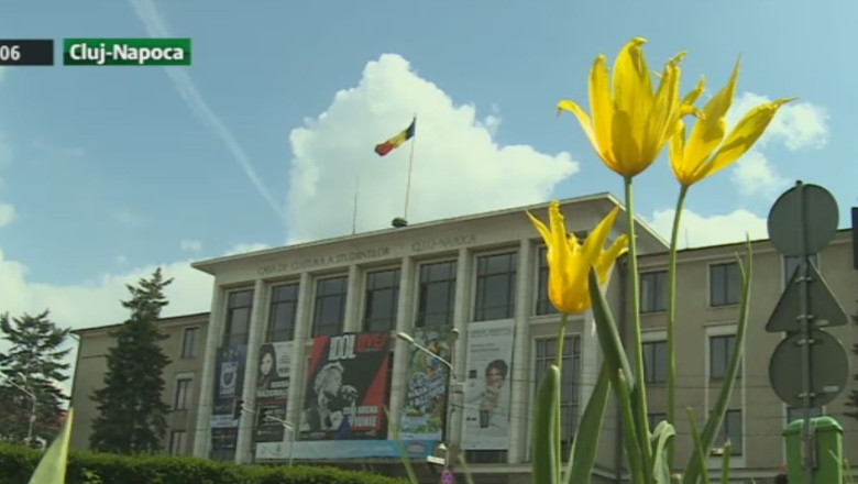 Panselute de 1 milion de euro, la Cluj-Napoca Imagine