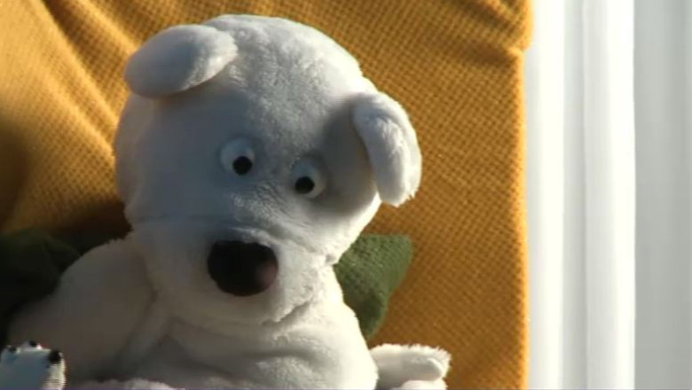 Papusile Dodi si Roni i-au invatat pe copii despre ursi Imagine