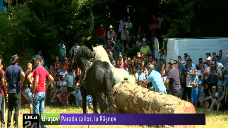 Parada cailor, la Rasnov. Mii de oameni au participat la Festivalul Ecvestru Imagine