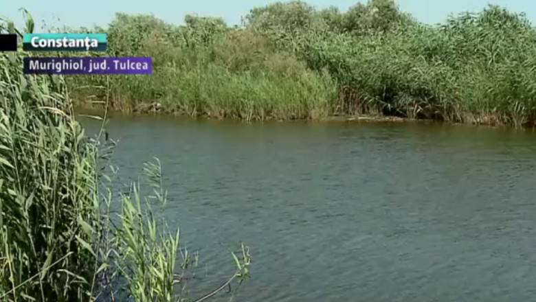 Paradisul din Delta Dunarii. Turistii sunt cuceriti de peisajul unic si de bucataria traditionala Imagine