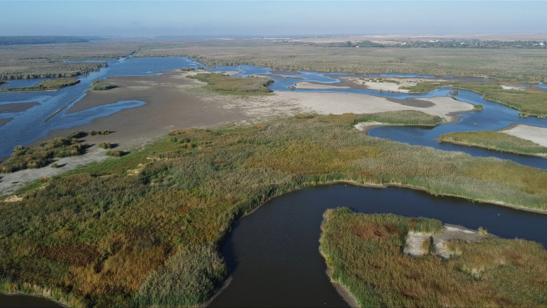 Paradisul pierdut de la Comana: peste jumatate din Delta Neajlovului a secat. „Aici se prindea stiuca. Acum nu mai exista!” Imagine