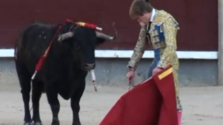 Parlamentarii spanioli au declarat corridele patrimoniu cultural Imagine