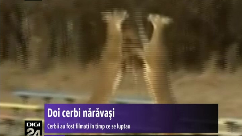 Parlamentul de la Chisinau decide joi daca investeste noul guvern condus de Iurie Leanca Imagine