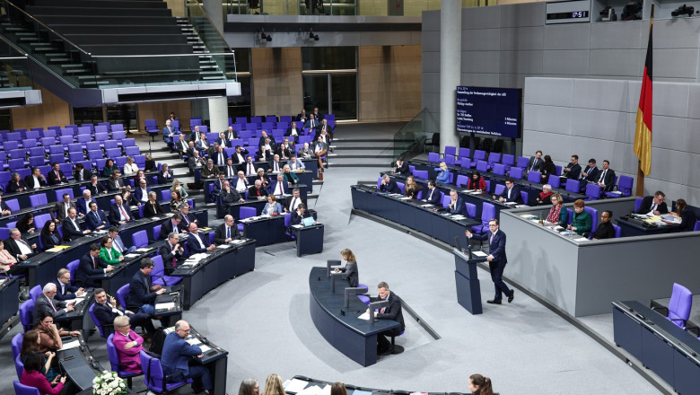 Parlamentul german a inceput dezbaterea pentru scoaterea AfD in afara legii. Ce sanse de reusita are initiativa Imagine
