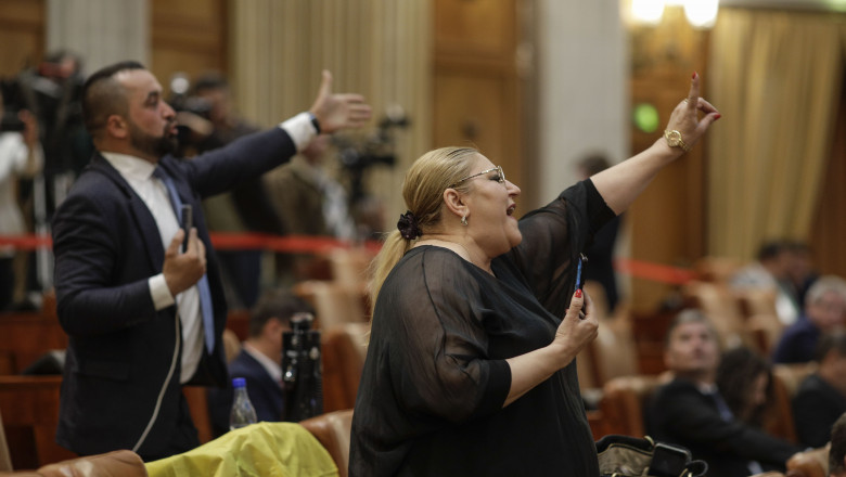 Partidul de extrema dreapta AfD infiinteaza grupul „Suveranistii” in Parlamentul European. Diana Sosoaca ar putea fi membru (presa) Imagine