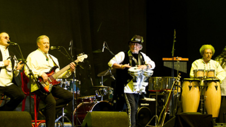 Pasarea Rock, la Constanta  Imagine