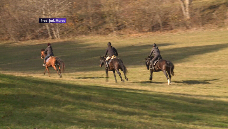 Pasiune transformata in afacere. Un tanar a infiintat in inima Transilvaniei un centru de echitatie Imagine