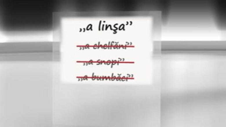 PASTILA DE LIMBA. Ce inseamna, de fapt, verbul „a linsa”, folosit gresit pe strada, dar si in presa Imagine