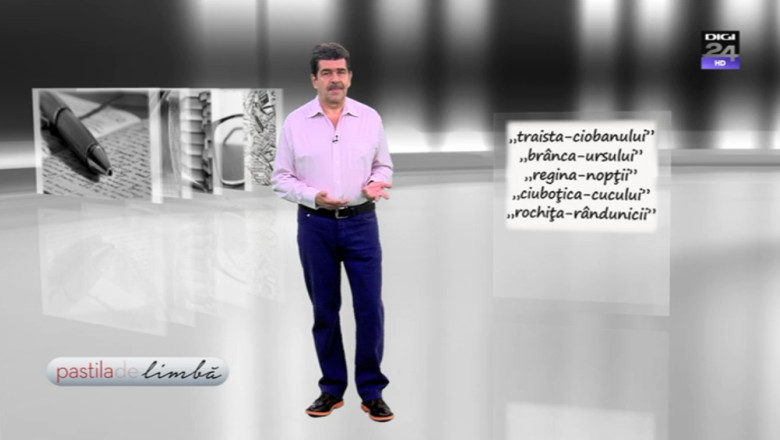 PASTILA DE LIMBA. „Traista cioban”, „Coloana infinit” si „Neam Soimaresti”. Izgonirea genitivului din limba romana Imagine