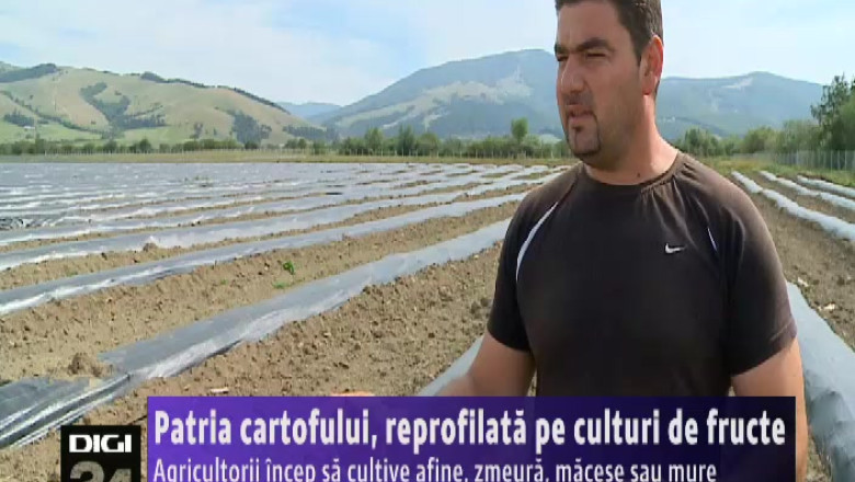 Patria cartofului, reprofilata pe culturi de fructe Imagine