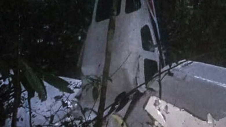 Patru copii aflati la bordul unui avion care s-a prabusit in jungla in urma cu o luna sunt „in viata”, spun autoritatile columbiene Imagine