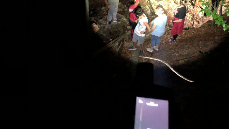 Patru turisti rataciti pe munte au fost gasiti de salvamontisti in albia unui torent secat Imagine