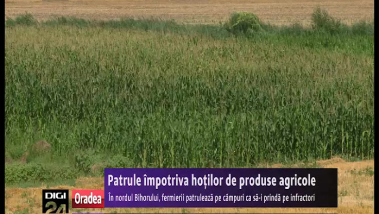 Patrule impotriva hotilor de produse agricole. In nordul Bihorului, fermierii patruleaza pe campuri ca sa-i prinda pe infractori Imagine