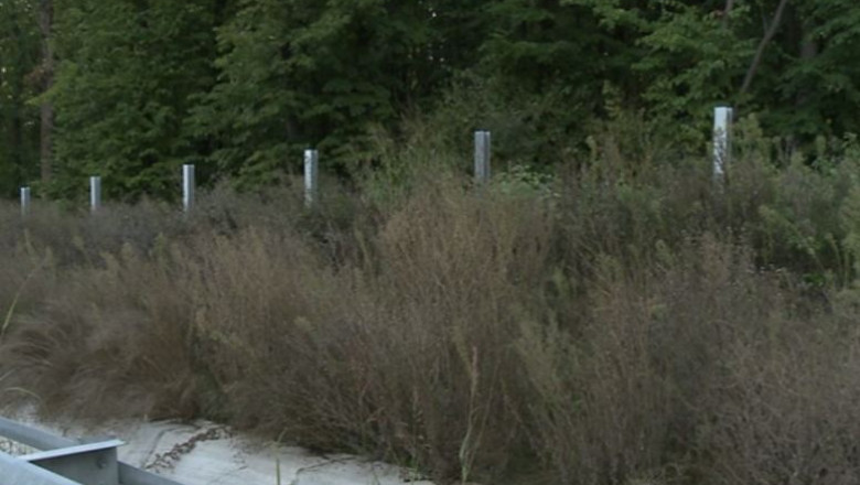 Paza autostrazilor costa 3 milioane de euro, dar parapetii si gardurile sunt furate periodic Imagine