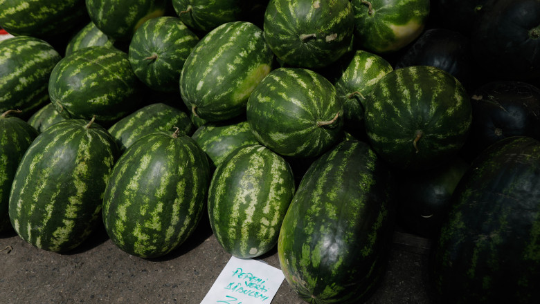 Pepenii romanesti, in pericol de disparitie. Suprafata cultivata a scazut in timp ce fermierii cauta aternativa mai profitabila Imagine